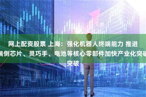 网上配资股票 上海：强化机器人终端能力 推进端侧芯片、灵巧手、电池等核心零部件加快产业化突破